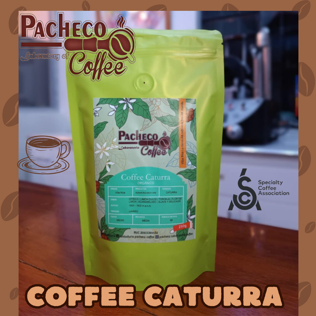 CAFE CATURRA